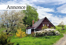 En god oplevelse i sommerhus