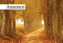 Det skal du lave i din efterårsferie