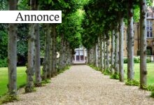 Dette skal du huske, hvis du skal have familien med i sommerhus