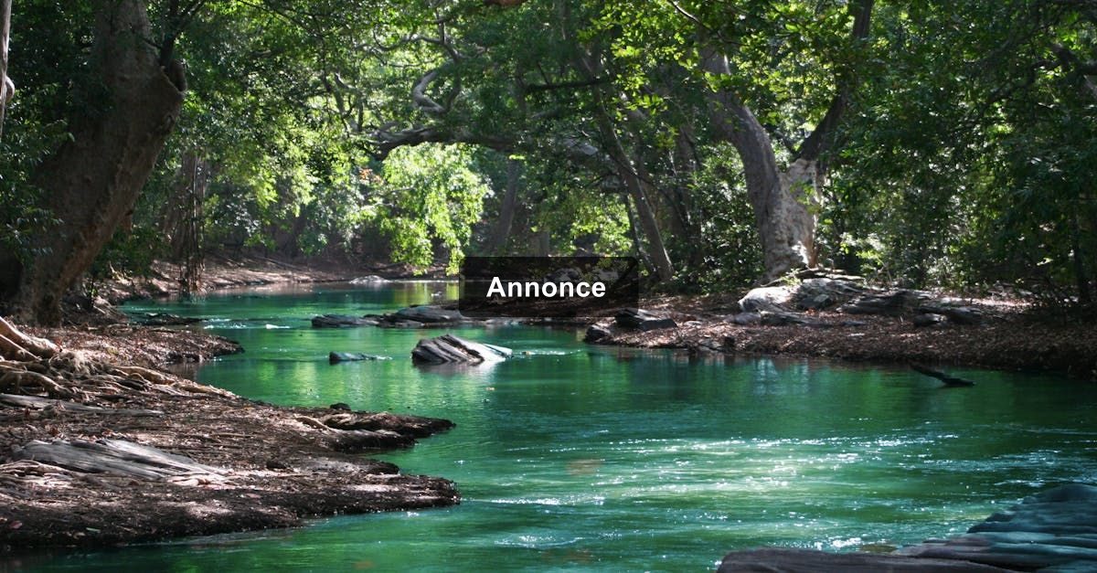 Streaming af bøger: Hvad tilbyder de populære tjenester i Danmark?