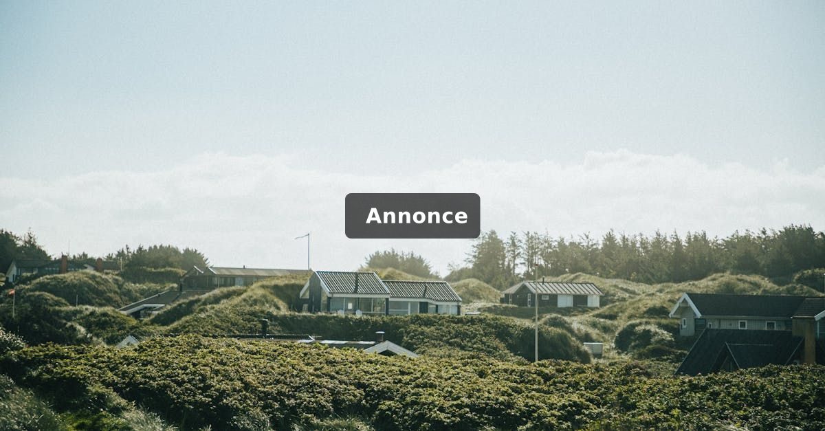 Sommerhus ved Limfjorden: Det skal du vide om forsikring, før du køber