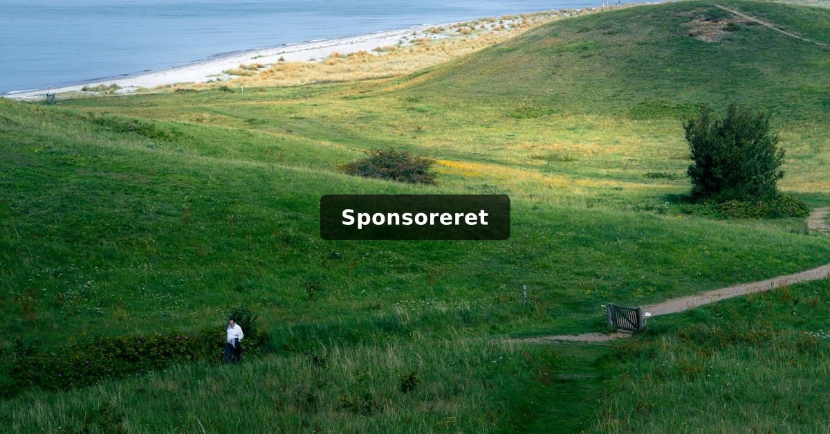 Nordjysk fritidsliv: Hvad Limfjordsregionen byder på af oplevelser og tilbud